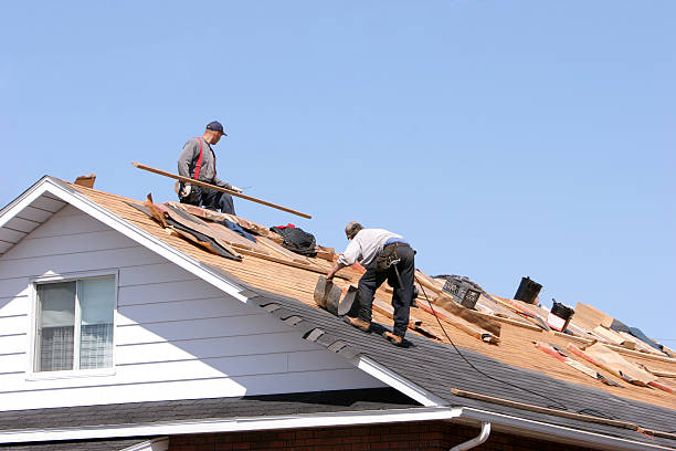 Best Metal Roofing Installation  in Lamar, SC