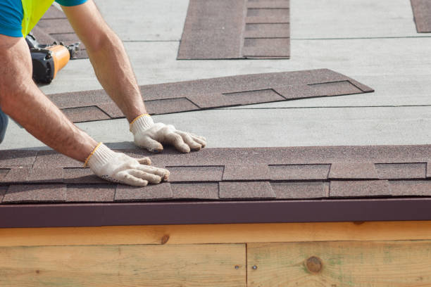 Steel Roofing in Lamar, SC